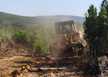 foto tractor trabajando en monte