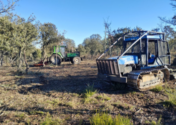 equipo de gestión de bosque