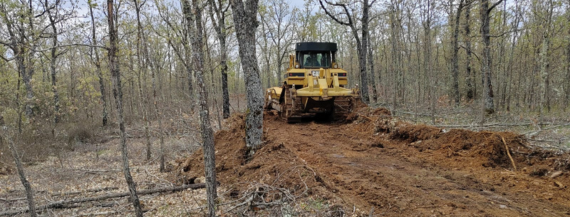 campo en proceso de limpia